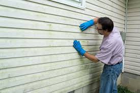 Best Aluminum Siding Installation  in Danville, KY